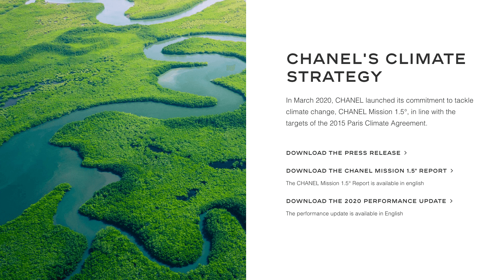 Top Luxury brand, Chanel's Sustainability efforts